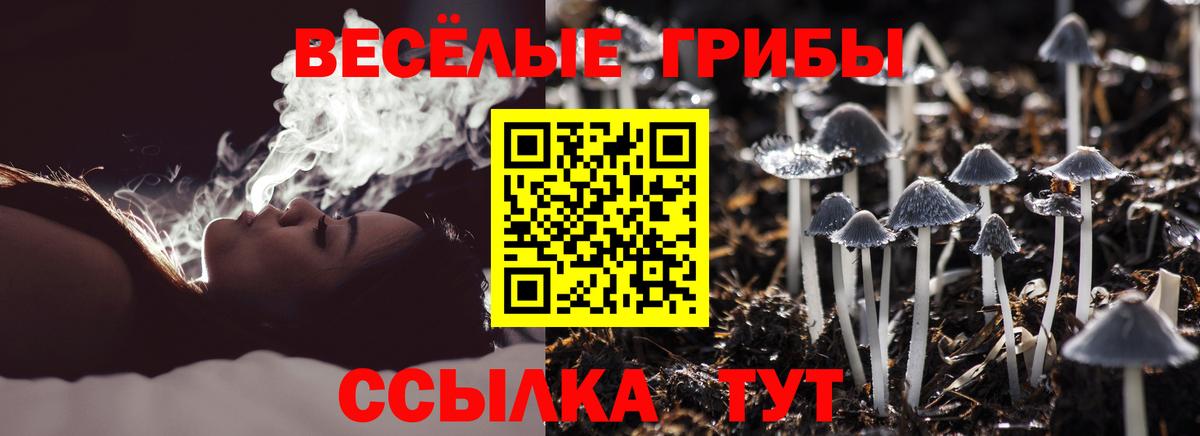 Галлюциногенные грибы Cubensis Москва